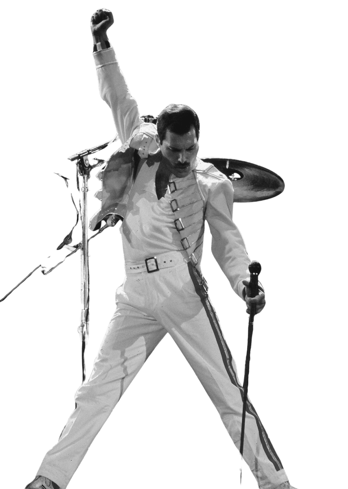 The full Queen Forever tribute cast presenting their Australian live show line-up, featuring performers portraying Freddie Mercury, Brian May, Roger Taylor, John Deacon, and Spike Edney in an authentic Queen tribute experience